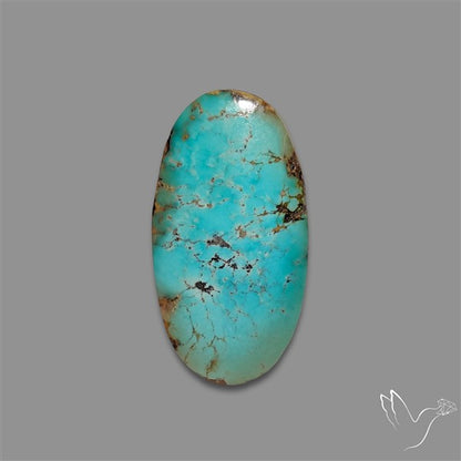 Rare Nishapuri Feroza Turquoise Cabochon Authentic