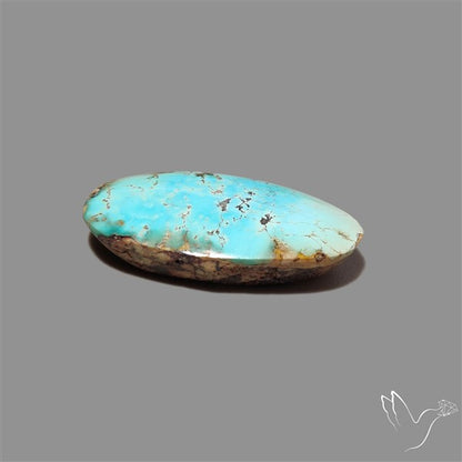 Rare Nishapuri Feroza Turquoise Cabochon Authentic