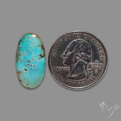 Rare Nishapuri Feroza Turquoise Cabochon Authentic