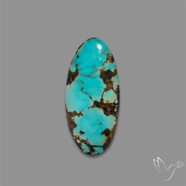 Rare Nishapuri Feroza Turquoise Cabochon Authentic