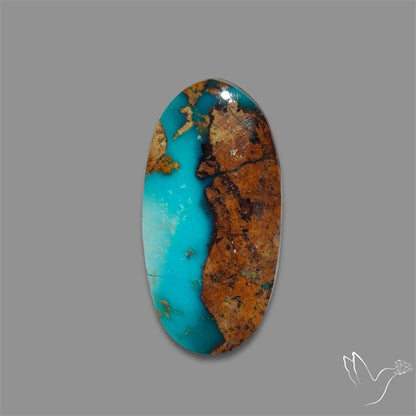 Rare Nishapuri Feroza Turquoise Cabochon Authentic
