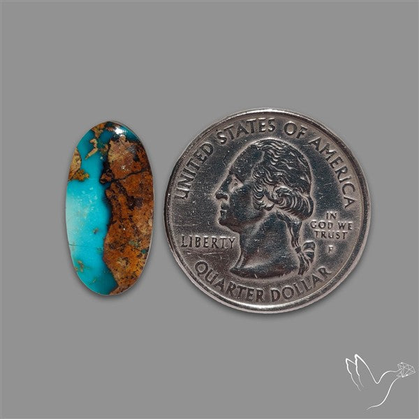 Rare Nishapuri Feroza Turquoise Cabochon Authentic