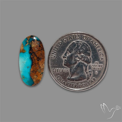 Rare Nishapuri Feroza Turquoise Cabochon Authentic