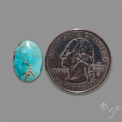 Rare Nishapuri Feroza Turquoise Cabochon Authentic