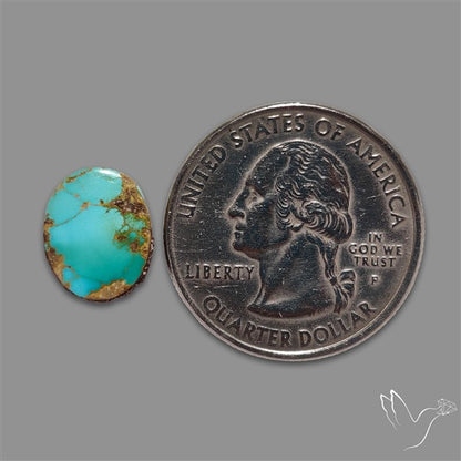 Rare Nishapuri Feroza Turquoise Cabochon Authentic