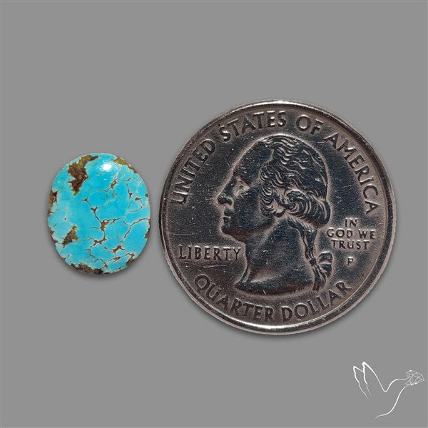 Rare Nishapuri Feroza Turquoise Cabochon Authentic