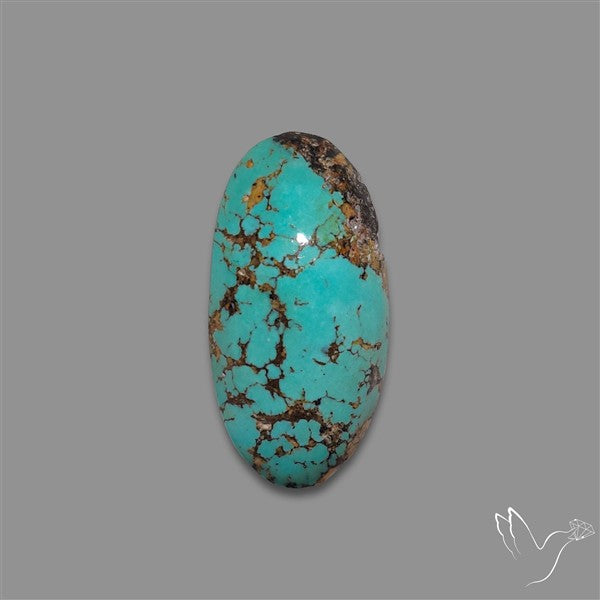 Rare Nishapuri Feroza Turquoise Cabochon Authentic