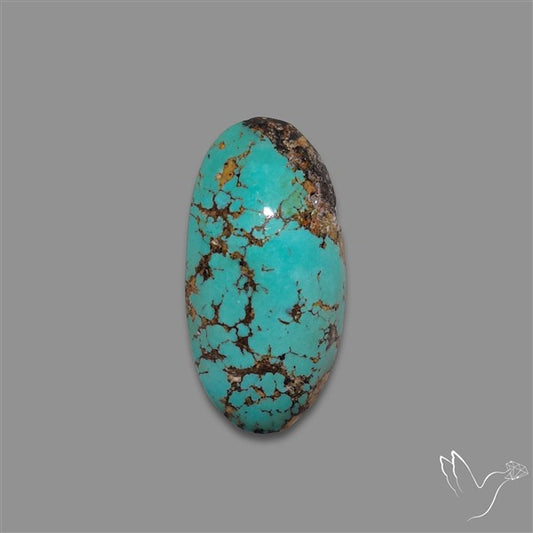 Rare Nishapuri Feroza Turquoise Cabochon Authentic