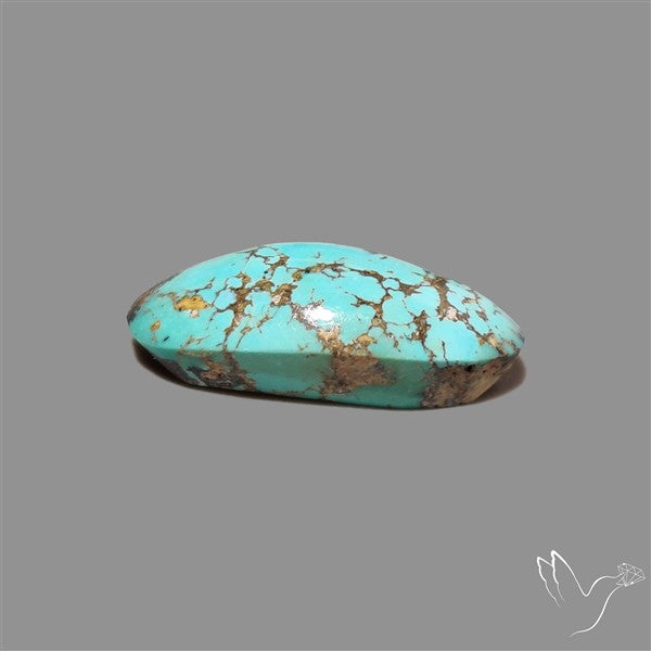 Rare Nishapuri Feroza Turquoise Cabochon Authentic