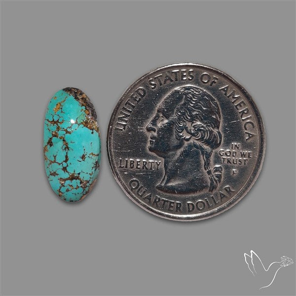 Rare Nishapuri Feroza Turquoise Cabochon Authentic