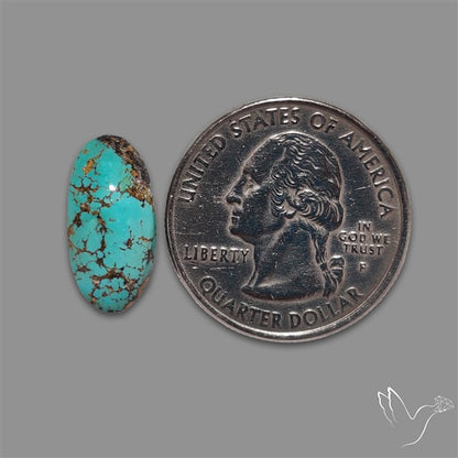 Rare Nishapuri Feroza Turquoise Cabochon Authentic
