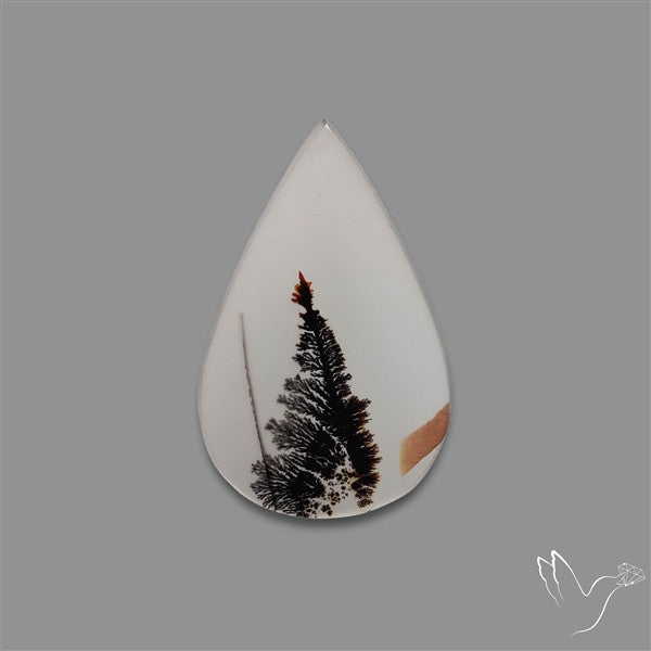 Scenic Agate Cabochon