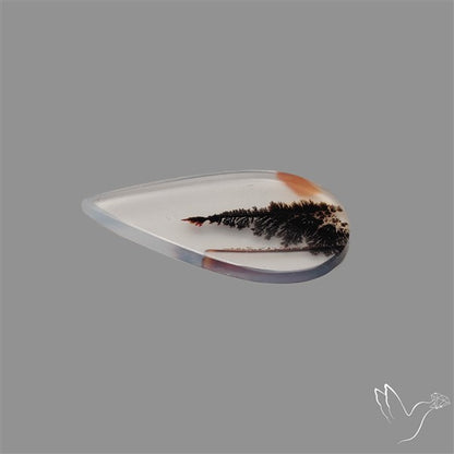 Scenic Agate Cabochon