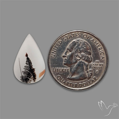 Scenic Agate Cabochon