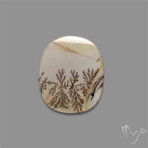 Scenic Agate Cabochon