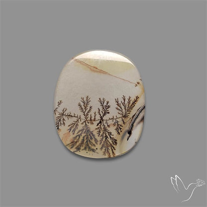 Scenic Agate Cabochon