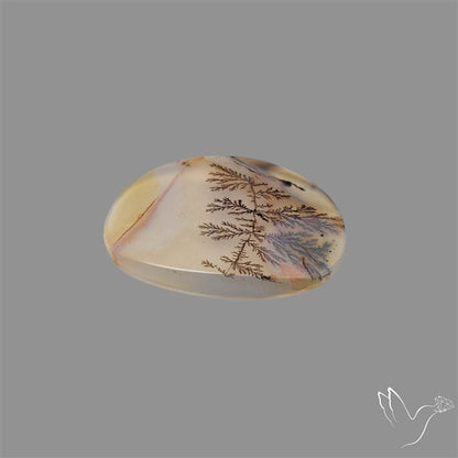Scenic Agate Cabochon