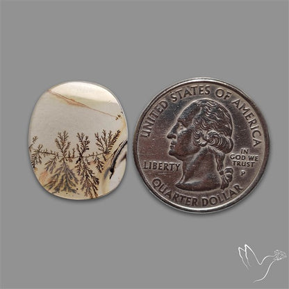 Scenic Agate Cabochon
