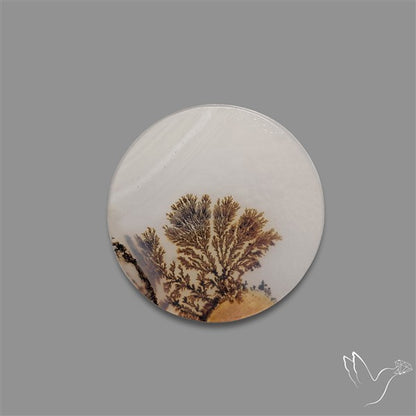 Scenic Agate Cabochon