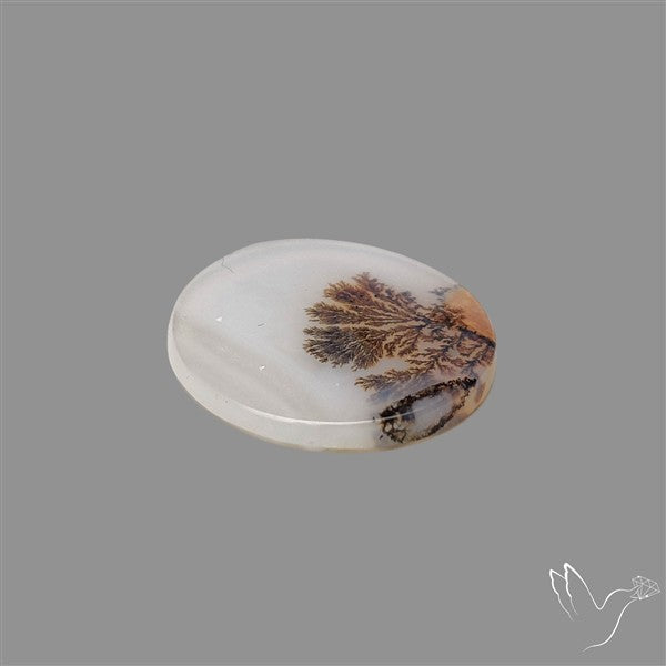Scenic Agate Cabochon