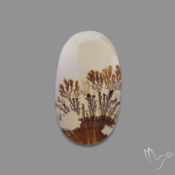 Scenic Agate Cabochon