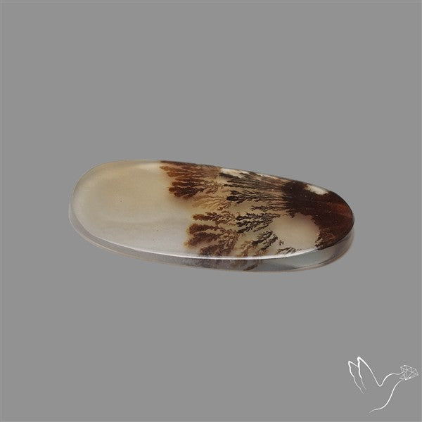 Scenic Agate Cabochon