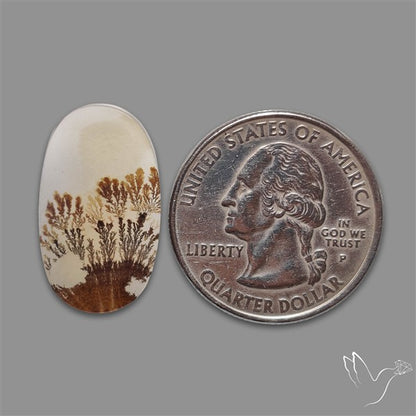 Scenic Agate Cabochon