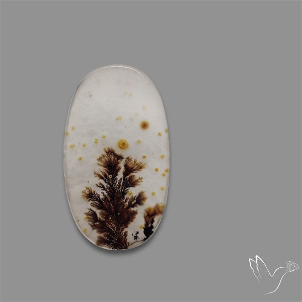 Scenic Agate Cabochon