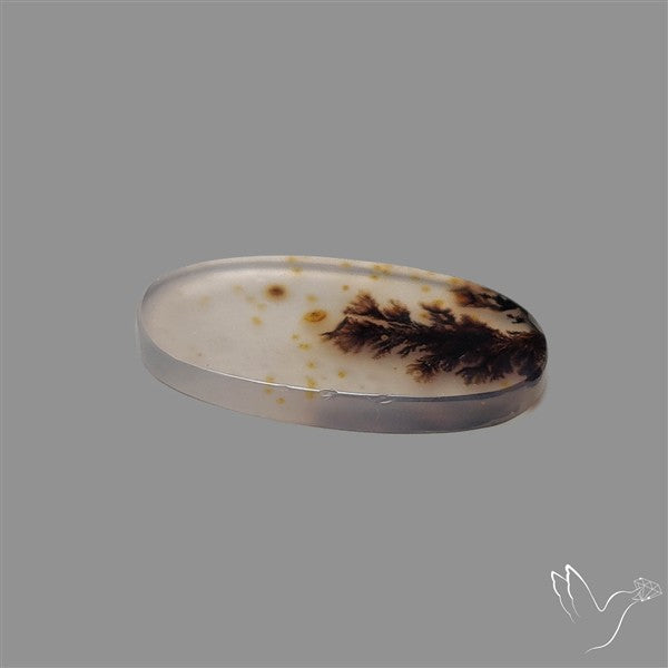 Scenic Agate Cabochon