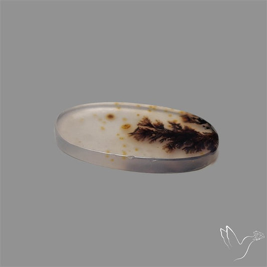 Scenic Agate Cabochon