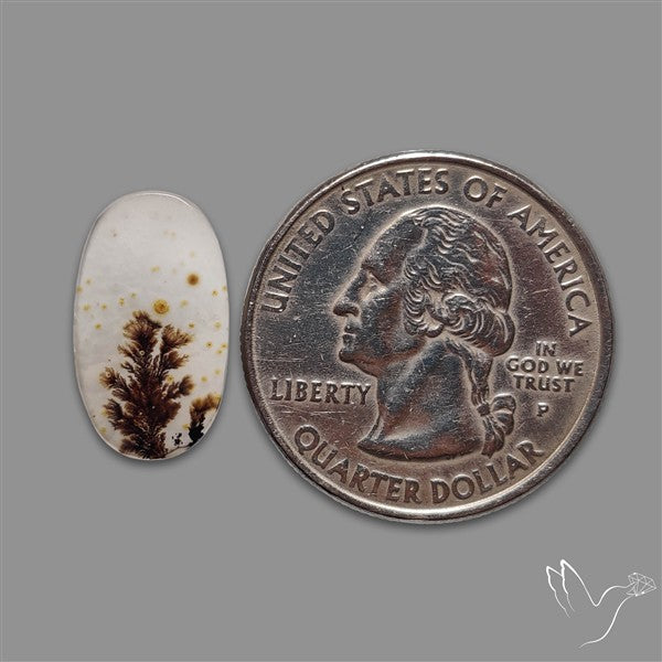 Scenic Agate Cabochon