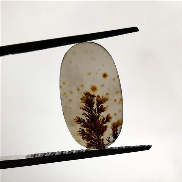 Scenic Agate Cabochon
