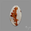 Scenic Agate Cabochon