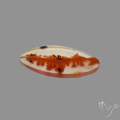 Scenic Agate Cabochon