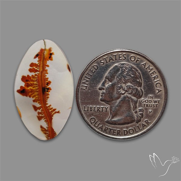 Scenic Agate Cabochon