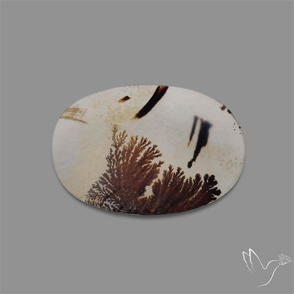 Scenic Agate Cabochon