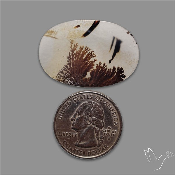 Scenic Agate Cabochon