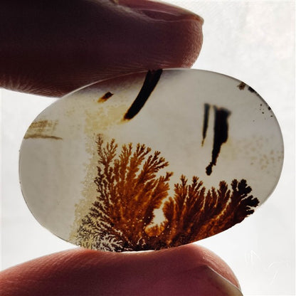 Scenic Agate Cabochon