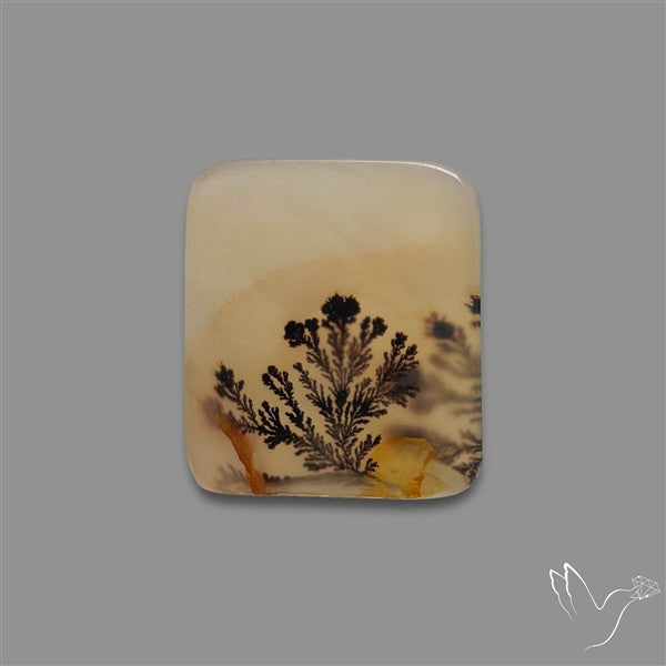 Scenic Agate Cabochon