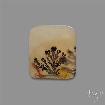 Scenic Agate Cabochon