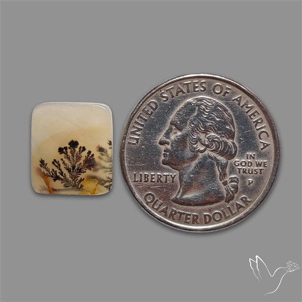 Scenic Agate Cabochon