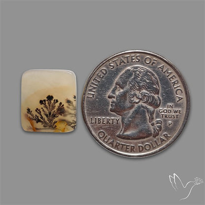 Scenic Agate Cabochon