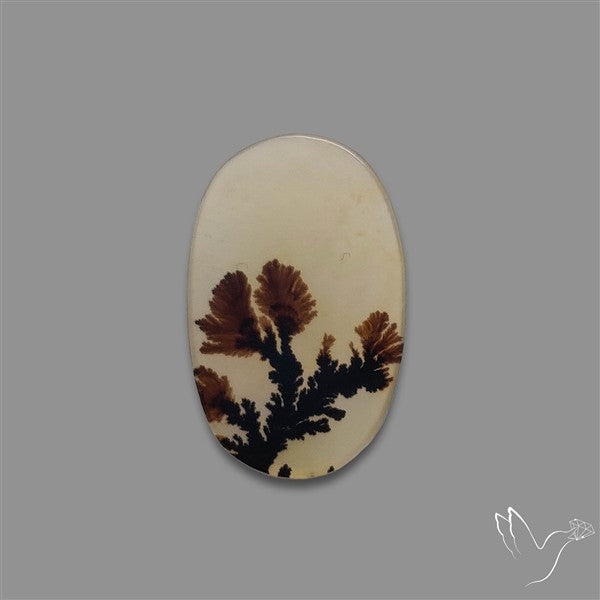 Scenic Agate Cabochon