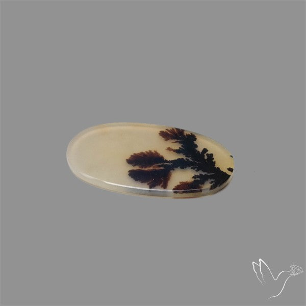Scenic Agate Cabochon