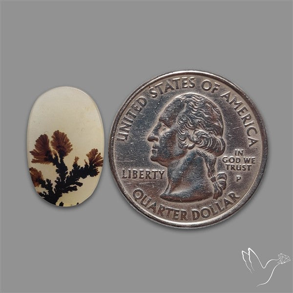 Scenic Agate Cabochon