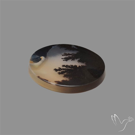 Scenic Agate Cabochon