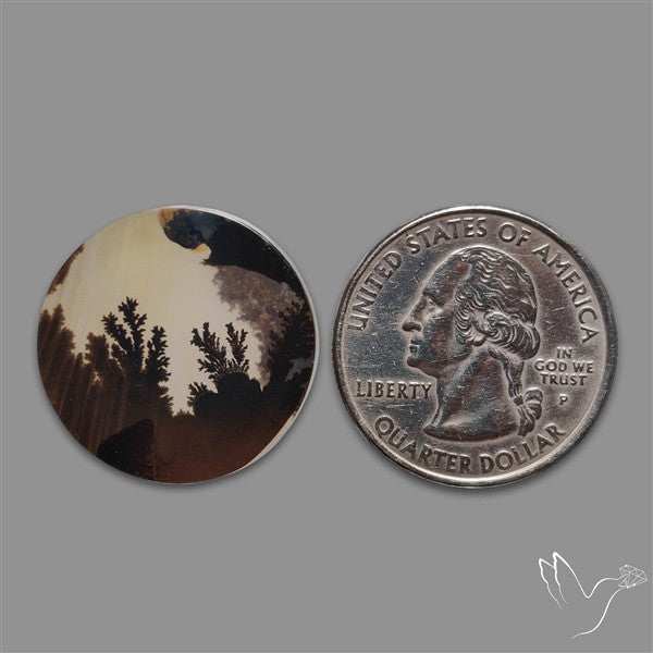 Scenic Agate Cabochon