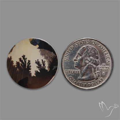 Scenic Agate Cabochon