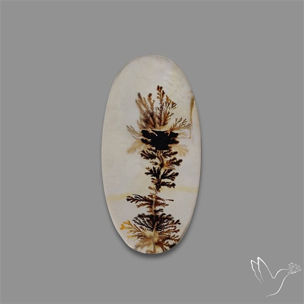 Scenic Agate Cabochon
