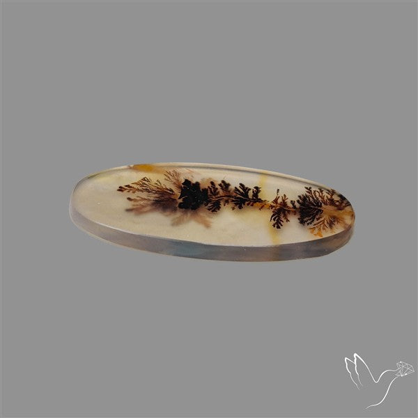 Scenic Agate Cabochon